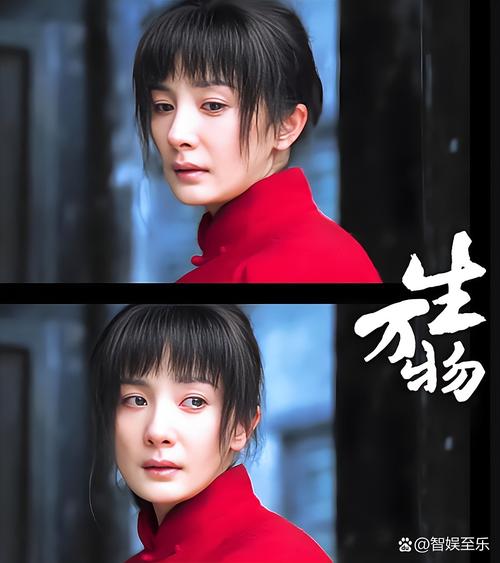 娱乐圈圈_娱乐圈圈内人_娱乐圈的女人们