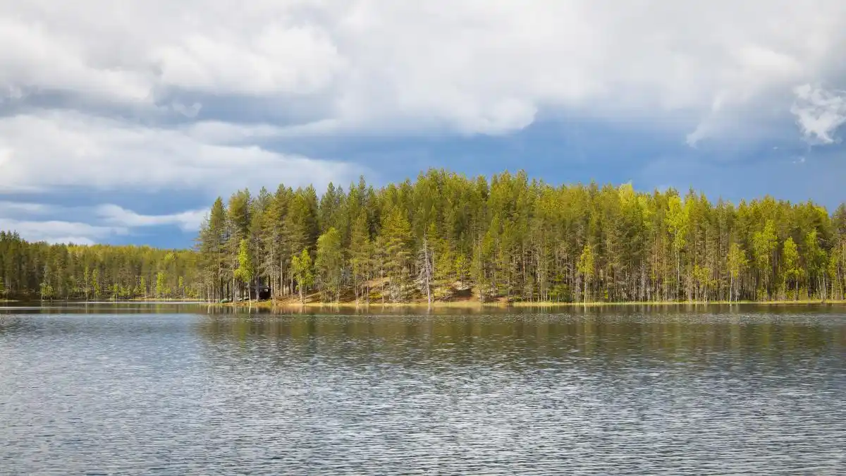 直播暖场话术_明星直播推荐热点话题有哪些内容,_直播互动话术