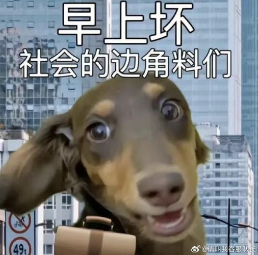 快手老狗八卦_网红老狗讲八卦-_老狗八卦微博