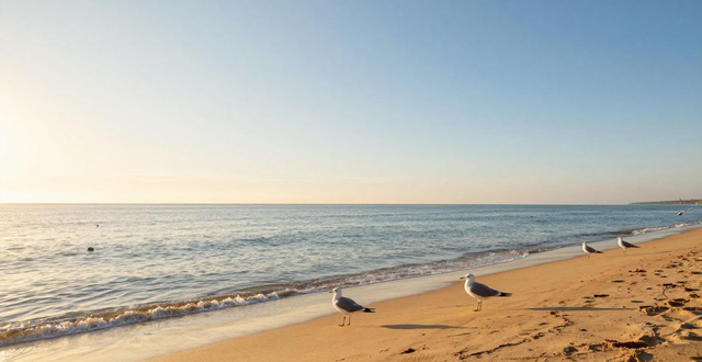 丹麦女孩在线观看b站_丹麦女孩在哪能看_观看在线b站女孩丹麦电影